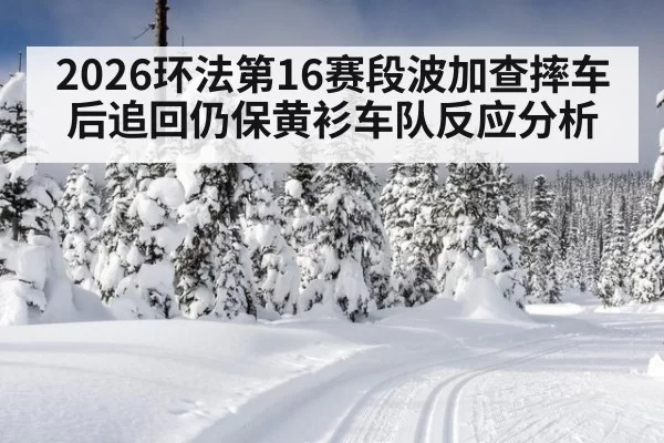2026环法第16赛段波加查摔车后追回仍保黄衫车队反应分析 - leyu